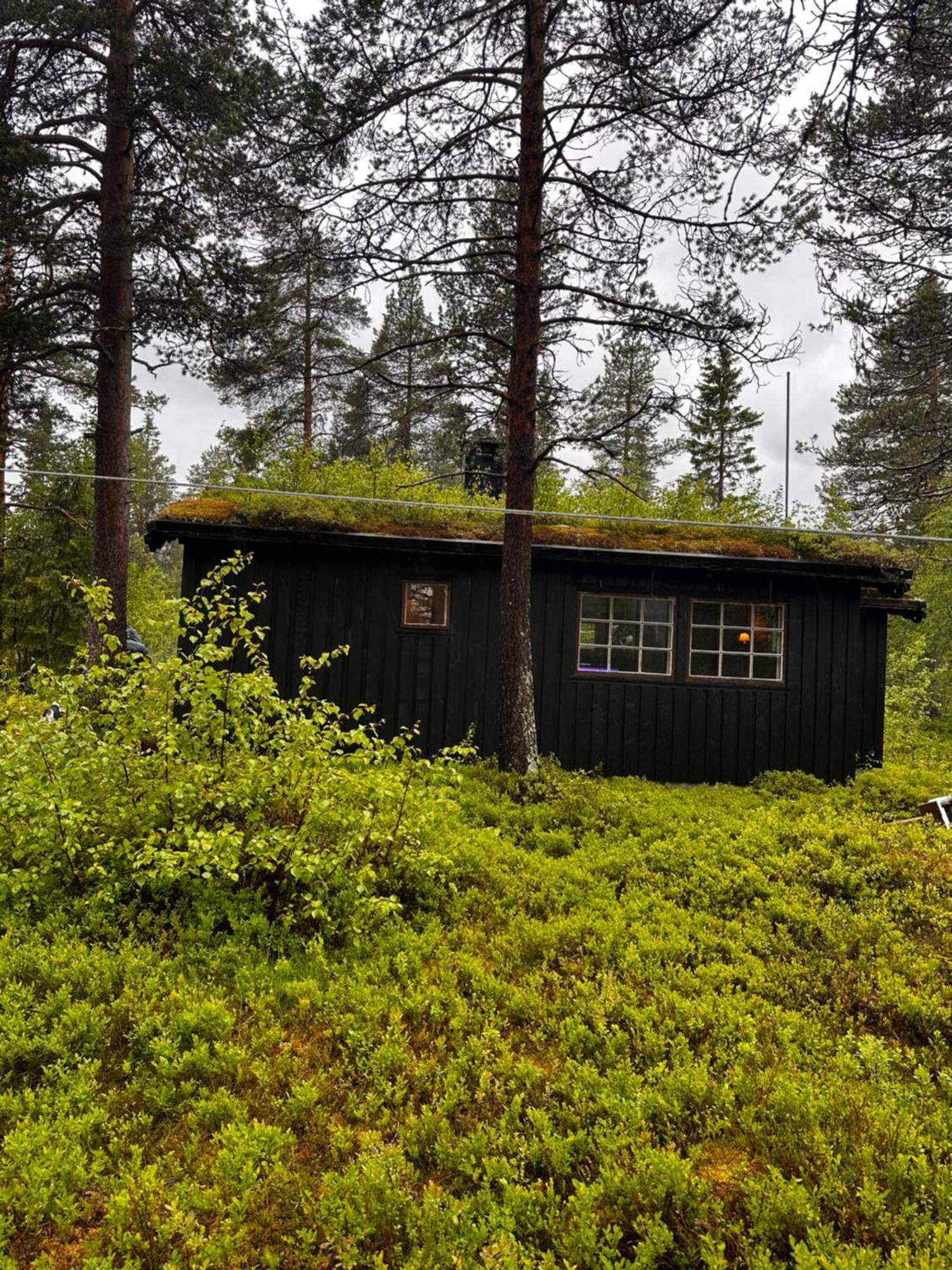 Willa Hytta Pa Oyfjell Zewnętrze zdjęcie
