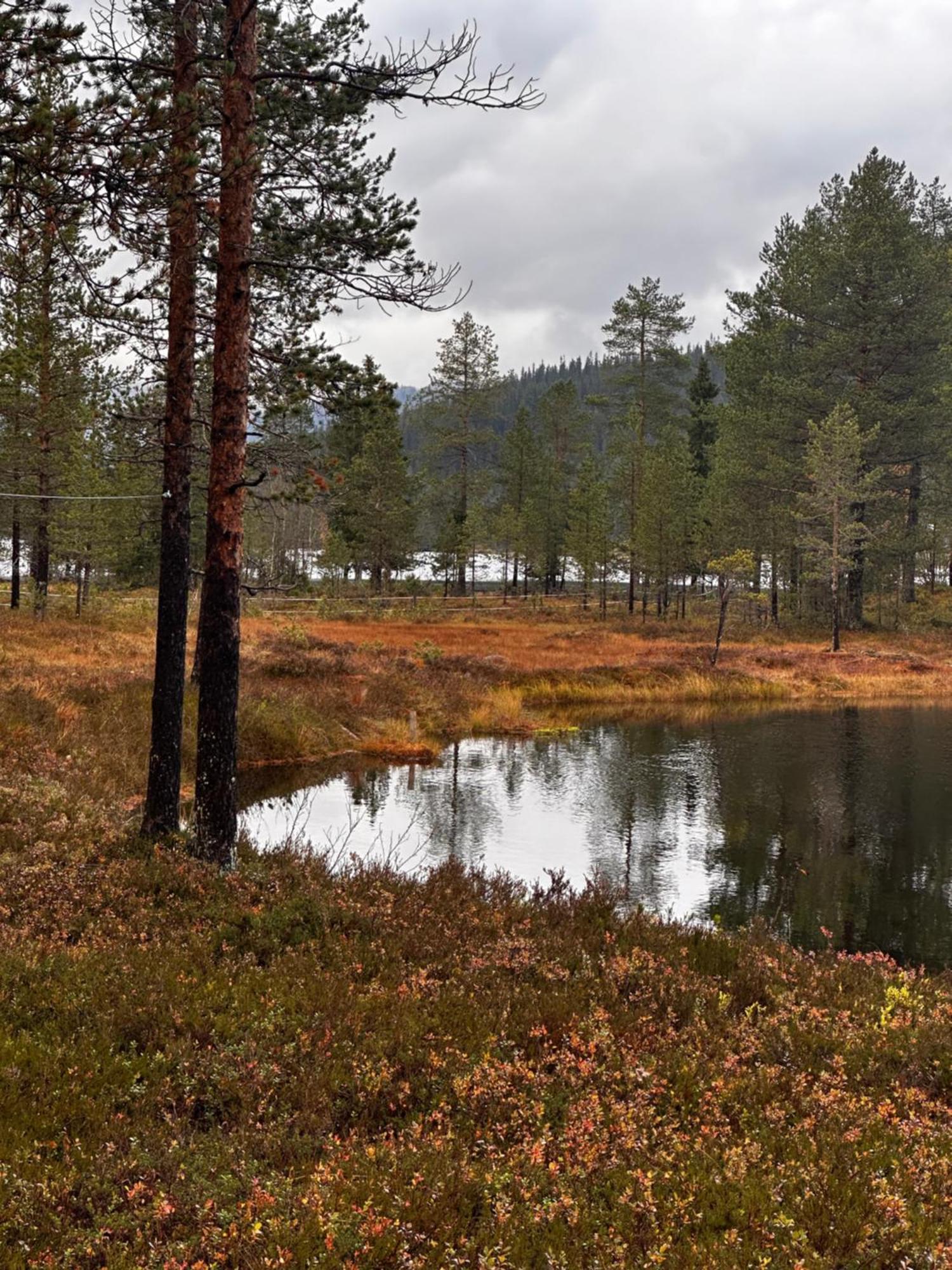 Willa Hytta Pa Oyfjell Zewnętrze zdjęcie